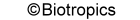 Der Inhalt dieser Website kann nach R�cksprache mit und Genehmigung durch Biotropics �bernommen werden.