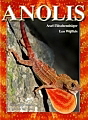 Anolis von Fl�schendr�ger & Wijfels