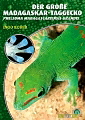 Der Gro�e Madagaskar-Taggecko von Ingo Kober