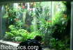 Regenwaldterrarium