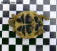 Testudo horsfieldii