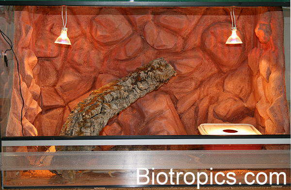 W�stenterrarium