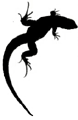 Echsen_Icon